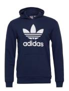 Adidas Originals Trefoil Hoodie Blå