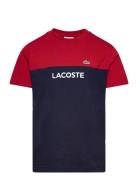 Lacoste Tee-Shirt&Turtle Multi/patterned