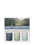 Skandinavisk Escape Mini Candle Giftset 65G X 3 Nude