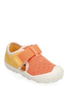 Adidas Performance Terrex Captain Toey I Orange