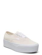 VANS Authentic Stackform Kräm