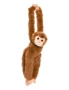 Teddykompaniet Dreamies- Monkey, Large Brun