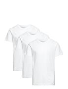 Jack & J S Jjeorganic Basic Tee Ss 3Pk Mp Jnr Vit