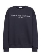 Tommy Hilfiger Crv Mdrn Reg Corp Logo Swtshrt Blå