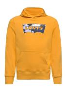 Levi's Levi's Batwing Fill Hoodie Orange