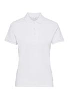 Lacoste Polos Vit