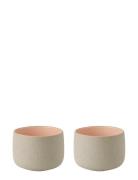 Stelton Emma Cup 0.15 L. 2 Pcs Rose Rosa