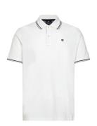 Champion Polo Vit