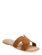 Steve Madden Zarnia Sandal Brun