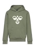 Hummel Hmlcuatro Hoodie Grön