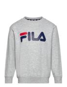 FILA Babina Greda Grå