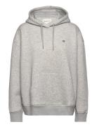 GANT Rel Shield Hoodie Grå