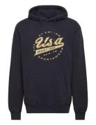 GANT Gant Usa Hoodie Blå