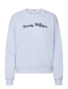 Tommy Hilfiger Mdrn Reg Script Sweatshirt Blå