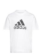 Adidas Sportswear Camo Boys Vit