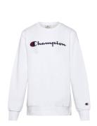 Champion Crewneck Sweatshirt Vit