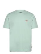 Dickies Ss Mapleton Tee Grön