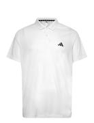 Adidas Performance Adidas Train Essentials Training Polo Shirt Vit