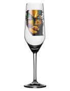 Golden Butterfly Champagneglas Home Tableware Glass Champagne Glass Nu...