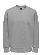 ONLY & SONS Onsdan Life Rlx Heavy Sweat Crew Grå