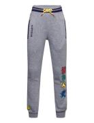 Harry Potter Pantalon Grå