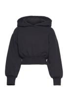 Tom Tailor Cropped Hoody Svart