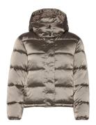 Calvin Klein Jeans Shiny Monologo Nd Short Puffer Brun