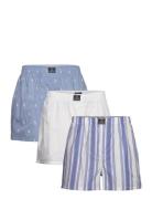 Polo Ralph Lauren Underwear Cotton-3Pk-Bxr Multi/patterned