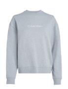 Calvin Klein Hero Logo Sweatshirt Grå