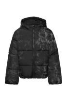 Tom Tailor Puffer Jacket Svart