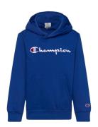 Champion Hooded Sweatshirt Blå