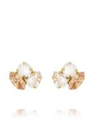 Caroline Svedbom Ana Earrings Gold Guld