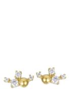 Bud To Rose Isla Earring Guld