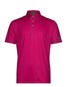 Lexton Links Carnaby Polo Rosa