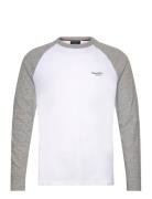 Superdry Essential Baseball Ls Top Vit