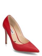 Steve Madden Evelyn-E Röd