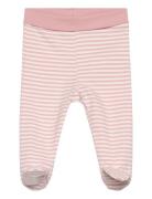 Fixoni Leggings W.feet - Y/D Stripe Rosa