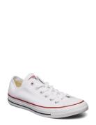 Converse Chuck Taylor All Star Vit