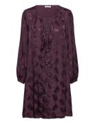 Claire Woman Cwdainora - Dress Lila