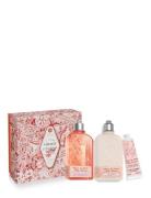 L'Occitane Cherry Body Gift 2024 Nude