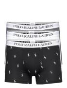 Polo Ralph Lauren Underwear Bci Cotton/Elastane-3Pk-Trn Multi/patterne...