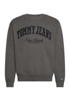 Tommy Jeans Tjm Rlx Vintage Varsity Crew Grå