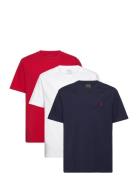 Ralph Lauren Kids 26/1 Jersey-3Pkcnsstee-St-Gbx Multi/patterned