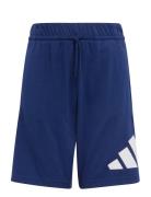 Adidas Sportswear J Bl Kn Sh 210 Blå