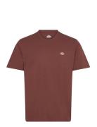 Dickies Ss Mapleton Tee Brun