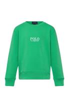 Ralph Lauren Kids Easy French Terry-Ls Cn M3-Kn-Sws Grön