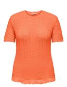 ONLY Carmakoma Carsaga Life Ss O-Neck Knt Orange
