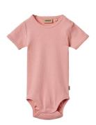 Wheat Rib Body S/S Lace Elisa Rosa