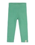 Petit Piao Legging Modal Grön