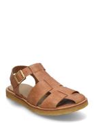 ANGULUS Sandals - Flat - Closed Toe - Op Brun